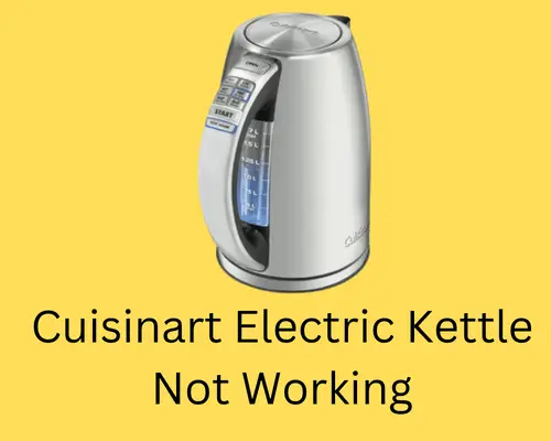 cuisinart-electric-kettle-not-working