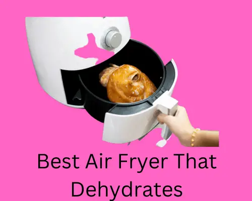 best-air-fryer-that-dehydrates
