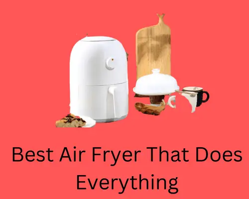 best-air-fryer-that-does-everything
